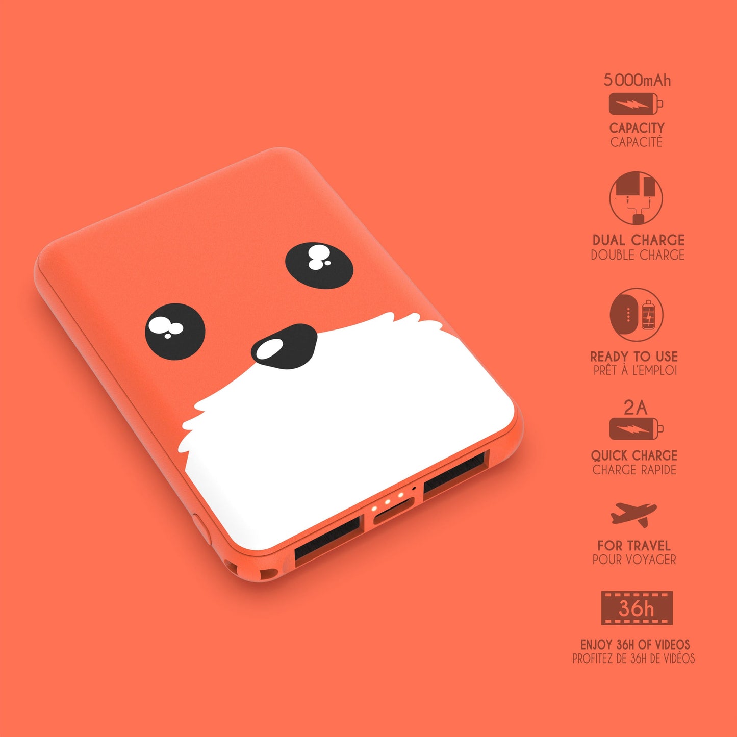Power Renard 5 000mAh