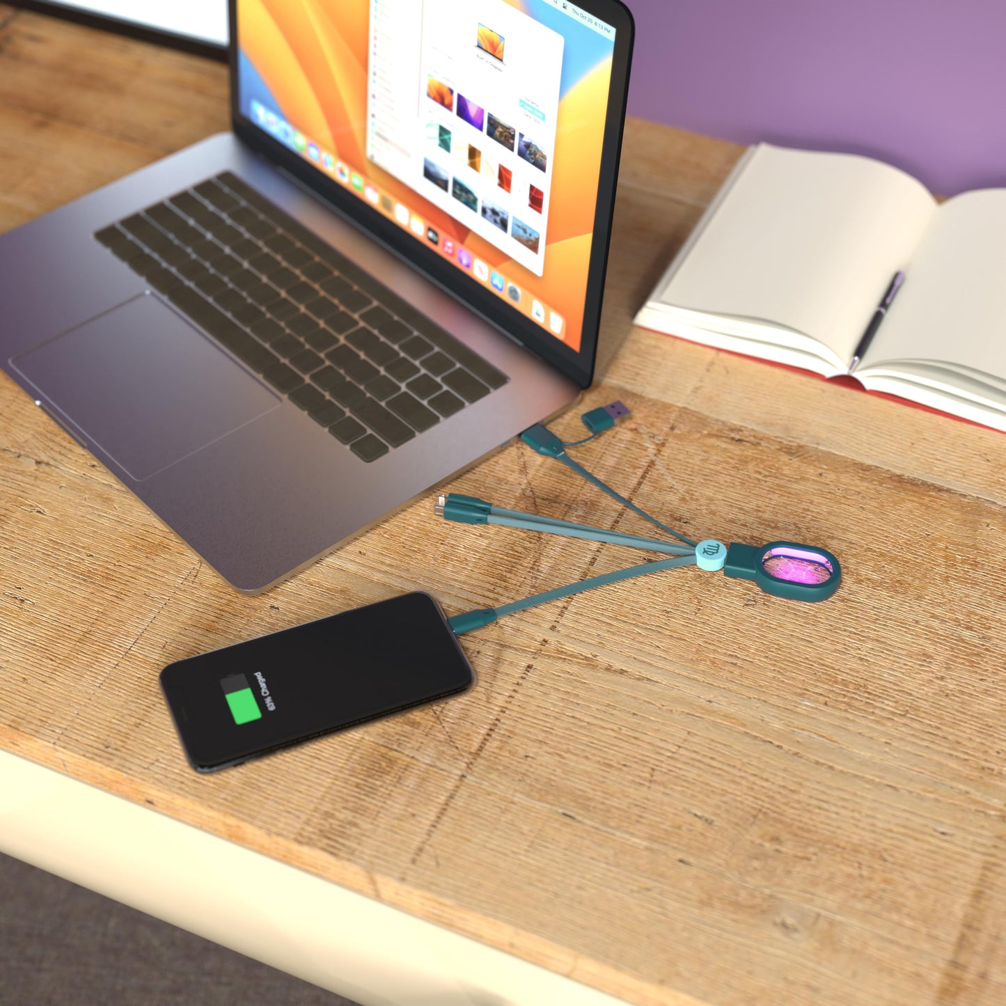Astro 4-in-1 Cable