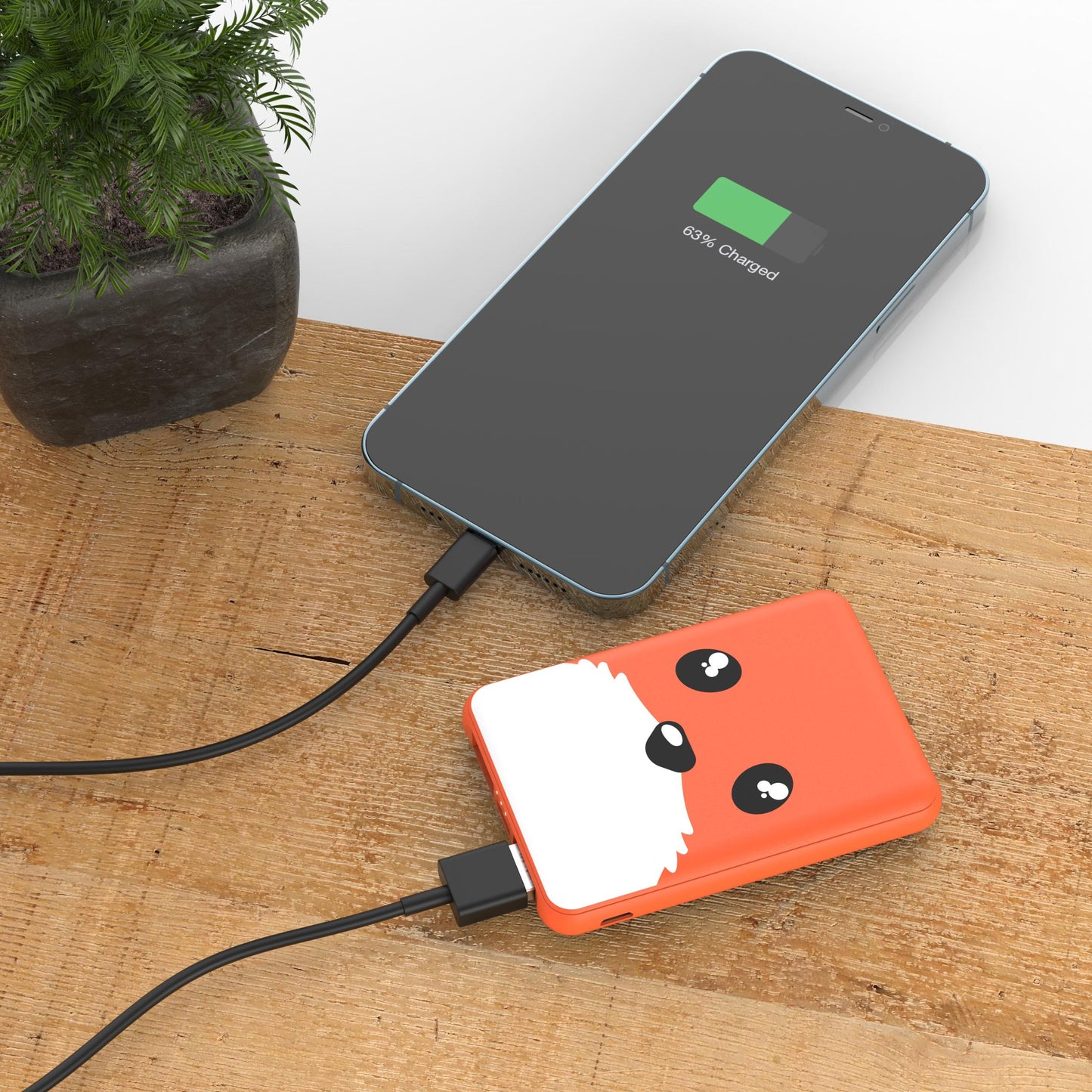 Power Renard 5 000mAh