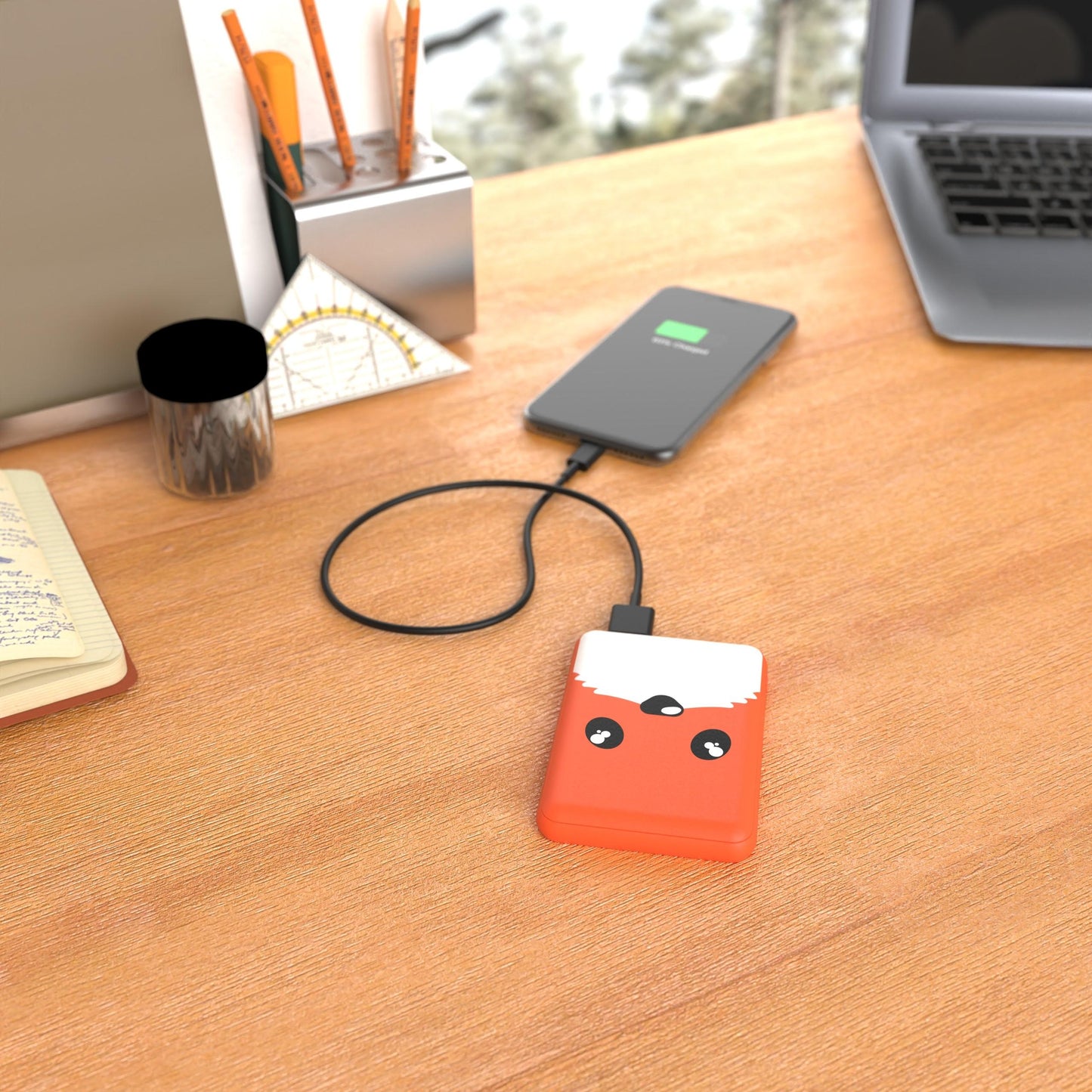 Power Renard 5 000mAh