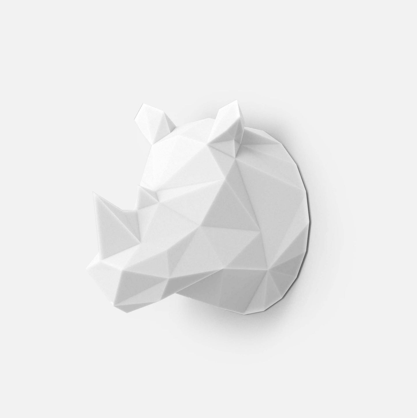 Wild Light Rhino