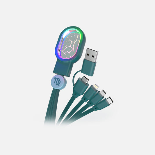Astro 4-in-1 Cable